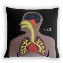 Anatomical Accent Pillows for NPs & PAs