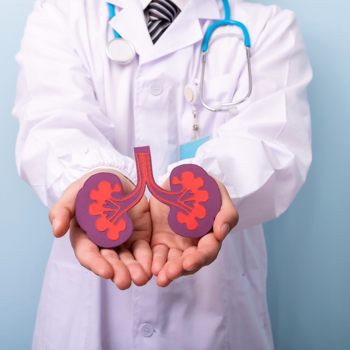 renal